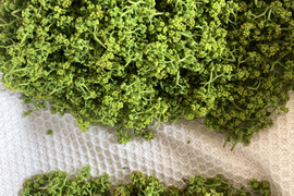 花山椒　京都産　計110グラム　B品(80グラム)とC品(30グラム)　天然