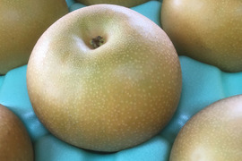 みずみずしい新品種！秋満月(3kg)