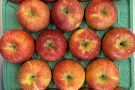 おやつ感覚で！？そのままパクっと！甘くてジューシー！長野県シナノスイート小玉9.8㎏