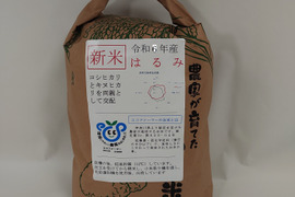令和6年新米「はるみ」5Kg 「1名様限定」　冷めても美味しい