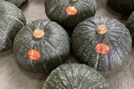 三浦栗かぼちゃ5～7個　10ｋｇ　　みやこ