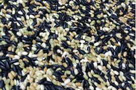 自然農パワー! 古代米 黒・赤・緑米 ミックス1kg