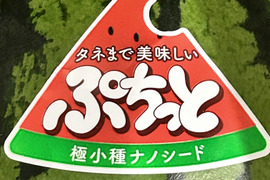 種ごと食べれるスイカ誕生！『ぷちっと』（1玉：約4人分）
【父の日の贈り物に】