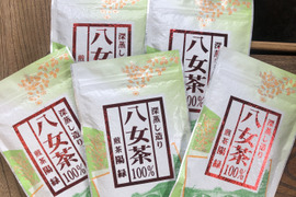 【ポスト投函】2023年新茶⭐︎八女茶100％煎茶陽緑100ｇ5本