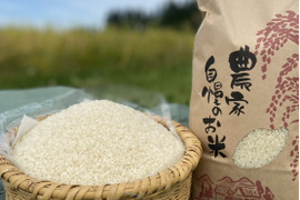 新米】令和8年魚沼産コシヒカリ白米5kg：新潟県産の加工品｜食べ