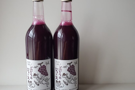 【ギフトに最適】無添加・無加糖 ～6カ月熟成～ ぶどうのジュース 720ml×2本