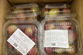 【9月下旬からお届け:1.2kg以上！】コトピー お腹いっぱい粒パック1.2kg箱