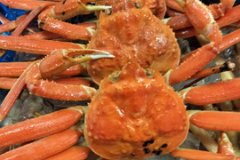 【山陰冬の名物】食べ応え有り！！松葉ガニ　中サイズ500UP