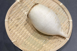 【初回限定お試し品】ビリっと辛い!風味が豊かな辛み大根【残りわずか】松館しぼり大根お試し２個