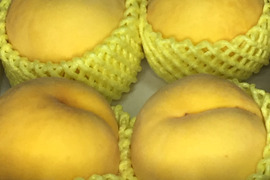 黄色い桃【黄貴妃】１.２ｋｇ（4~５個位）