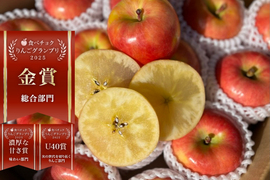 🏆2025年りんごGP金賞受賞🎊青森県産りんご　蜜たっぷり葉とらず高徳　贈答用【5㎏　12～25個入り】