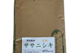 【新米】令和5年 ササニシキ 玄米10kg～農薬・化学肥料不使用