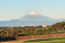 旬の野菜セット ！！