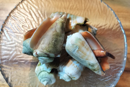 旨味が凄い！チャンバラ貝1㌔