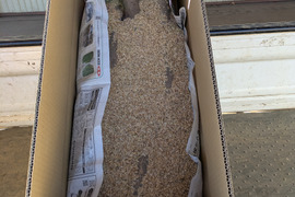 しゃきしゃきの「信州産長芋」(ご家庭用・5㌔入)