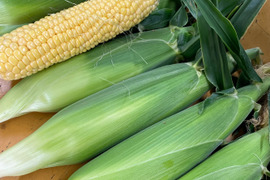 夏定番！BBQ野菜セット