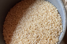 一等米！！【リオレのレシピ付き】🌾お味見ください！！玄米2kg 令和4年度 兵庫県丹波産コシヒカリ 甘い！冷めてもおいしいごはん🍚