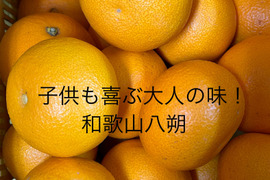 子供も喜ぶ大人の味！和歌山八朔　L&2L中心に3L~M混載 約15kg