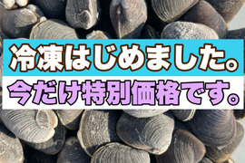 【今月特別価格‼️】冷凍はじめました。🧊十三湖産冷凍しじみ中貝1kg！