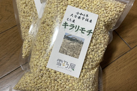 モチプチ食感　もち麦「キラリモチ」　4kg（500g×8袋）☆おまけ付