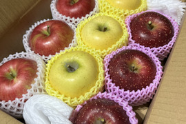 【３品種】詰め合わせ🍎🍏　おまかせ3キロ
