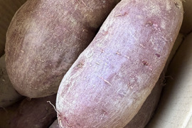 自然栽培土付き紫いも(あや紫)2kg 美容・健康効果たっぷり