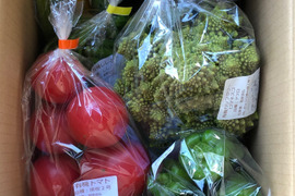 「一瞬の旬」極上野菜セット ファミリー(4,5人用)