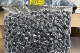 農薬不使用！採れたて冷凍ブルーベリー