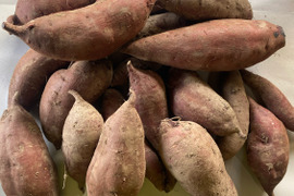 自然栽培さつまいも（シルクスイート）5kg