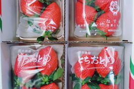 とちぎの完熟いちご３種の食べ比べセット＋トクトクいちごの宝石箱（計2箱）
(とちあいか・スカイベリー・とちおとめ)
【いちご食べ比べ】