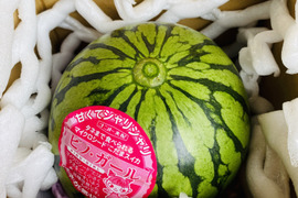 ６・兵庫県・Sora様、専用・ピノガール タネまで食べられる小玉スイカ | ピノ・ガール™