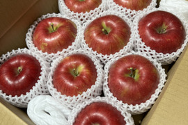 最短当日発送　幅広い世代で大人気🍎『シナノスイート』