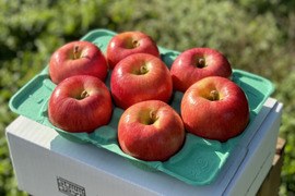 こうとくの通販｜りんご｜食べチョク｜産地直送(産直)お取り寄せ