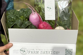 信州をお試し【旬彩野菜】BOX２～3人前　クリスマスパーティーにも！サラダリーフミックス140g1パック＋季節野菜1～2品。無施肥栽培・長野県安曇野産