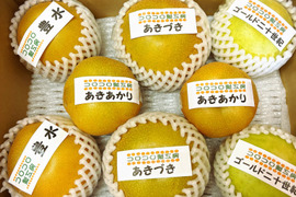 2ケースまとめ買い【旬の梨食べ比べ‼️3～5品種】何が届くかお楽しみ😋贈答用2.5kg以上 ×  2ケース