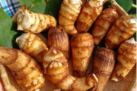 【サトイモ】ねっとりもっちり 希少在来種 「餅っちり芋」（もっちりいも） 栽培期間中農薬不使用 新潟産 里芋 1kg