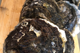 家族でバーベキューをしよう！夏が旬の岩牡蠣約2.5kg（約15個）