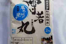 【新米】特別栽培米雪若丸精白米2㎏　もっちり玄米ご飯パック 150g ×12パック