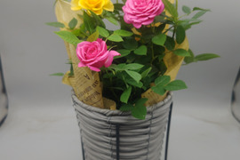 早割価格!!【母の日ギフト】ローズスタンドバスケット・・・4/27-5/8発送