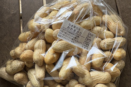 【農薬・化学肥料不使用】今が旬！なま落花生・おおまさり1kg・塩茹でがサイコー！