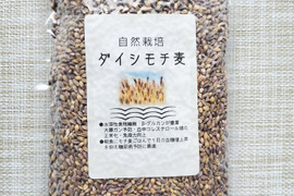 【ダイシモチ麦】栄養と健康維持に！免疫力アップにポリフェノールや食物繊維　プチプチ食感が咀嚼回数を上げる！自家製麦茶やお菓子作りに活用も♪　300 ｇ×2パック　【ポスト投函・平袋】自然栽培