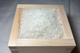 天日干し　令和７年度新米（ご家庭用•5kg）