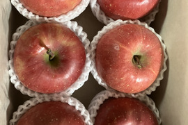 ギフト　樹上完熟サンふじ約2キロ6玉入　贈答品