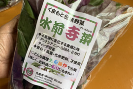 免疫力アップ！「金時草/水前寺菜」農薬化学肥料不使用【180g×3袋】