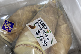 2026年度収穫分・静岡市産！有度山日本平竹の子『極み』2ｋｇ