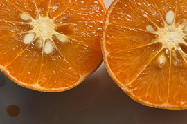 べにばえ　紅映（無農、ノーワックス）