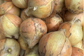 【季節限定】シャキっと柔らか、みずみずしい！阿部農縁の新玉ねぎ　10kg