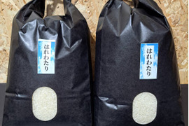令和7年青森県産はれわたり5kg×4
