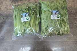 有機JAS  元気たっぷりルッコラ！小松菜各×500g