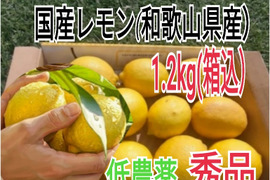 大好評【4/中旬収穫】皮ごと使える❣国産ユーレカレモン1kg(箱込）